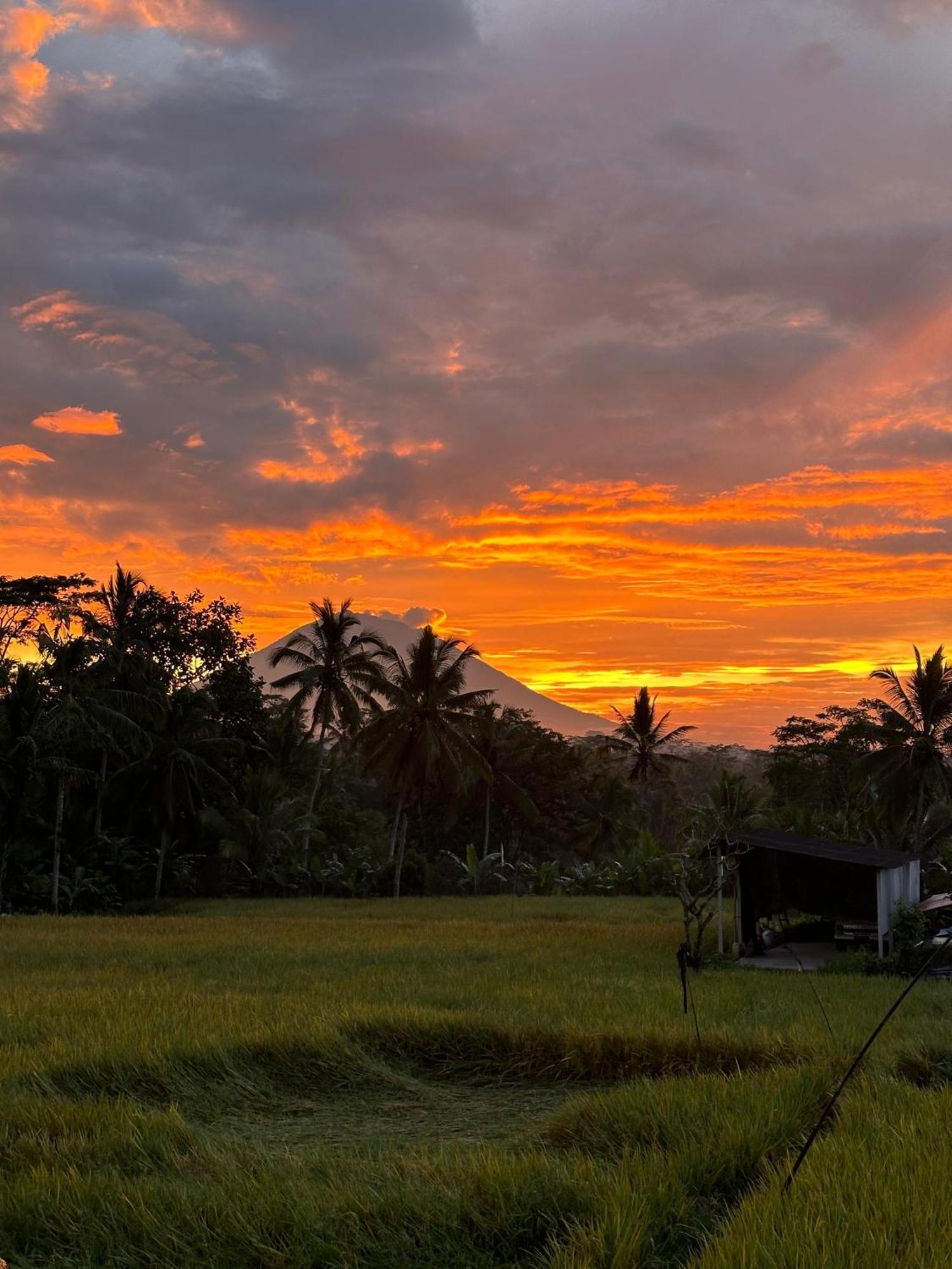 Aditara Sebatu Villa ウブド エクステリア 写真