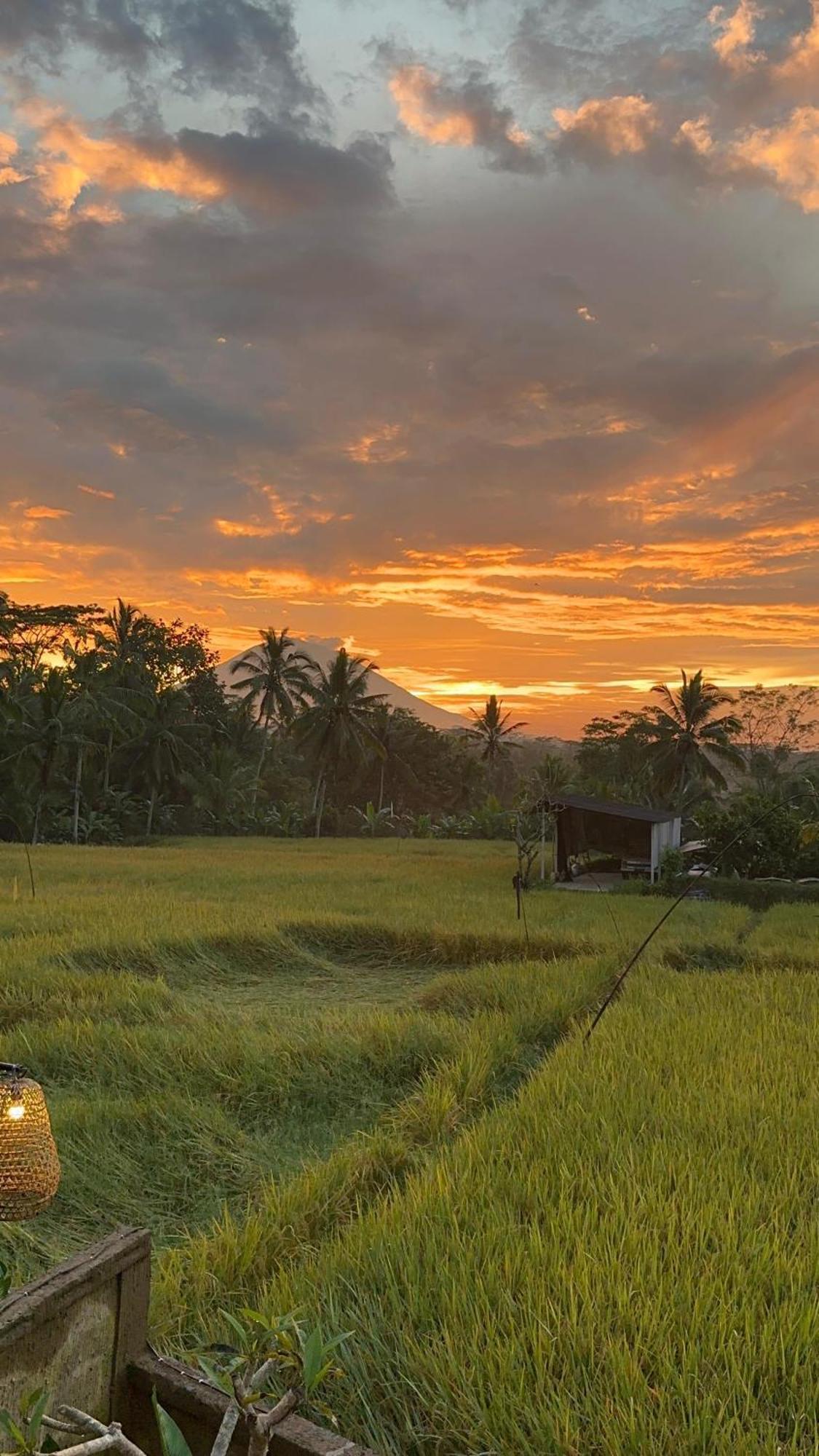 Aditara Sebatu Villa ウブド エクステリア 写真
